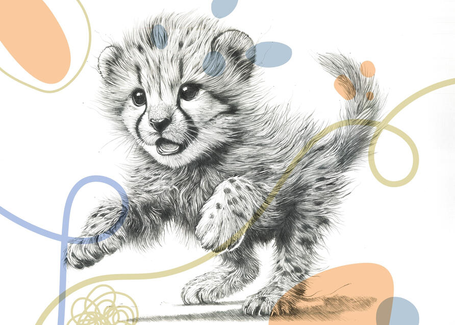 ベビーチーター