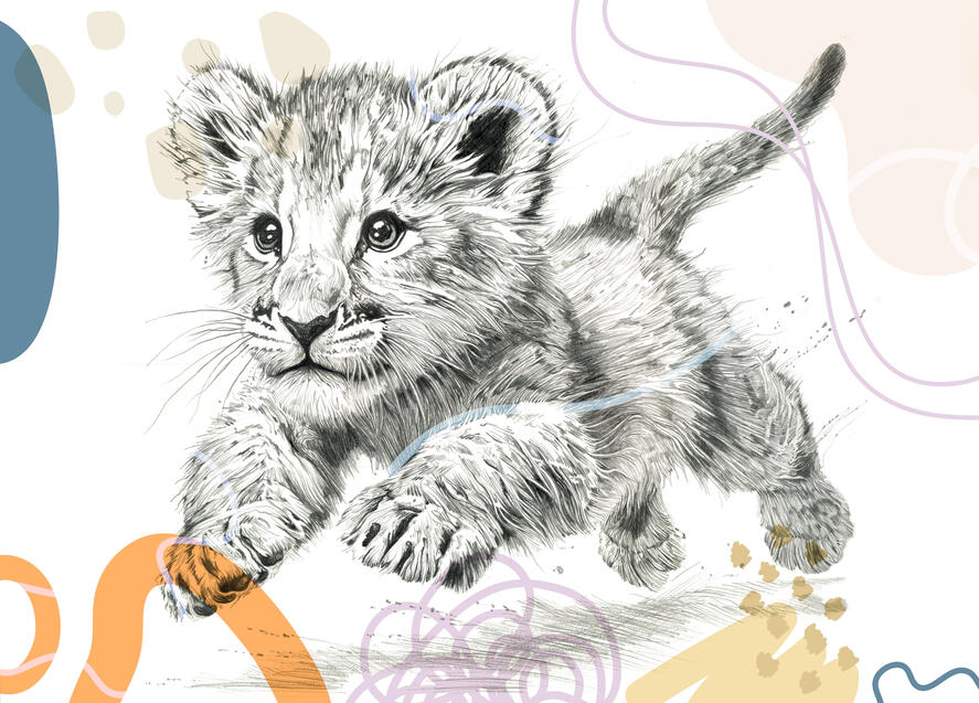 ベビーライオン