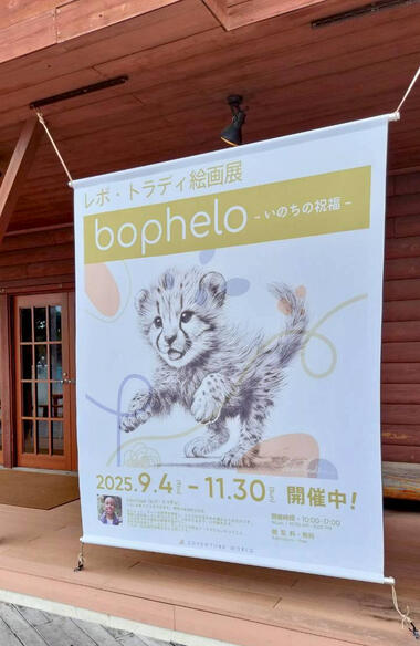 プロモーションバナー