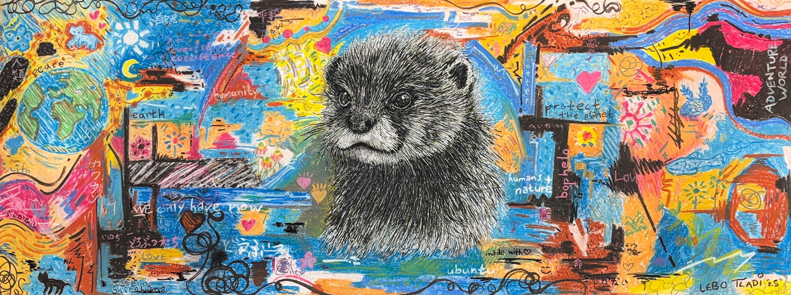 コラボ作品（完成）